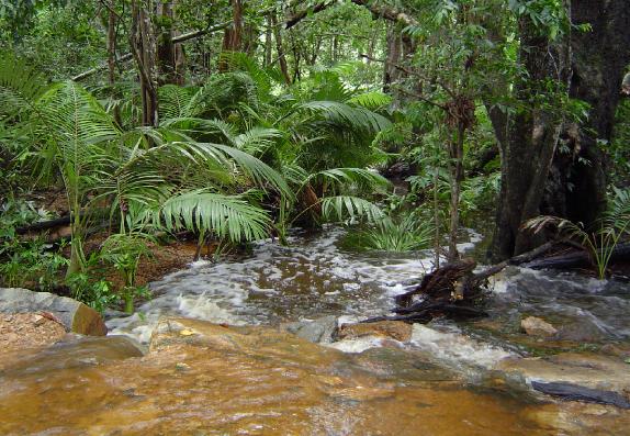 Creekrunning